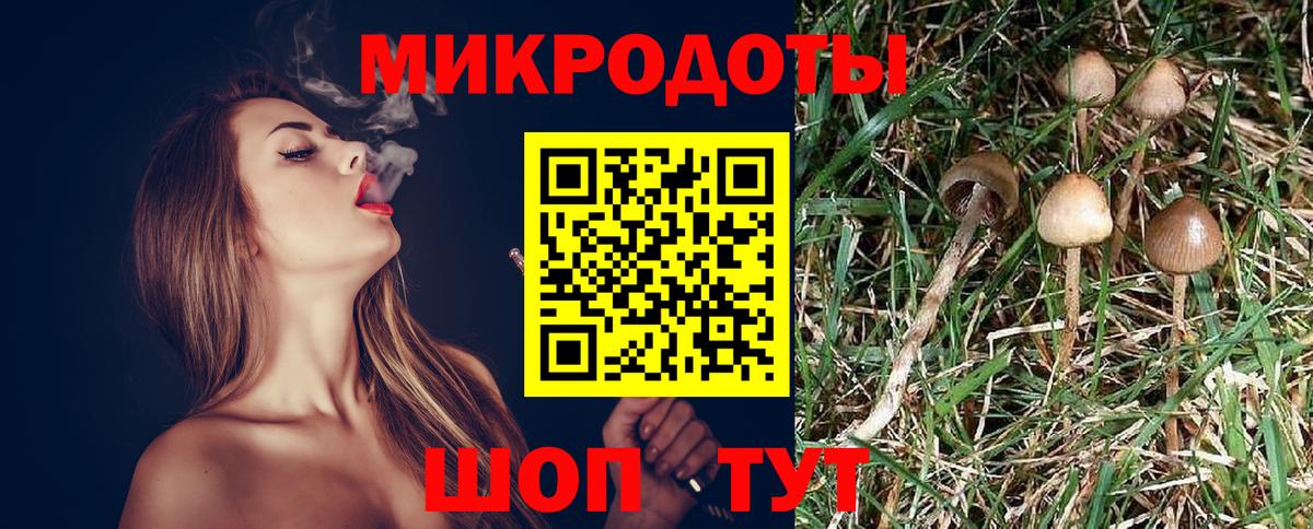 Галлюциногенные грибы мицелий Кашира